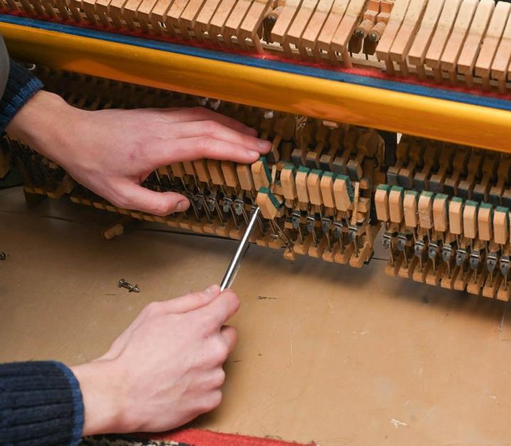Technicien piano, Sarzeau