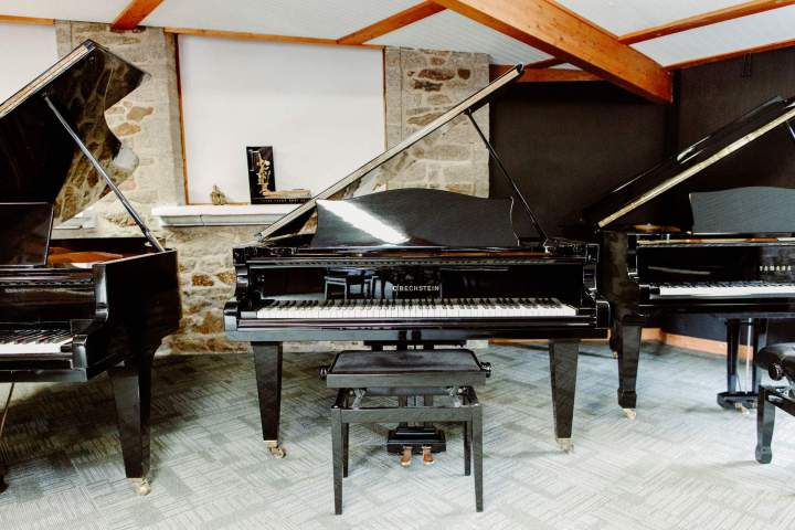 Vente de piano d'occasion La Roche-Bernard