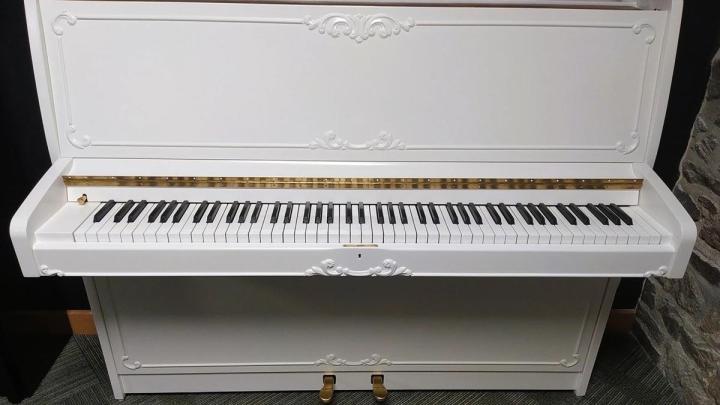 Vente de piano d'occasion La Roche-Bernard